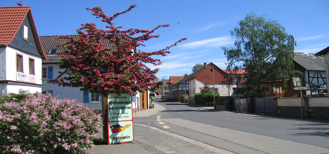 Das Bild zeigt  Ossenheim, copyright Stadt Friedberg (Hessen)
